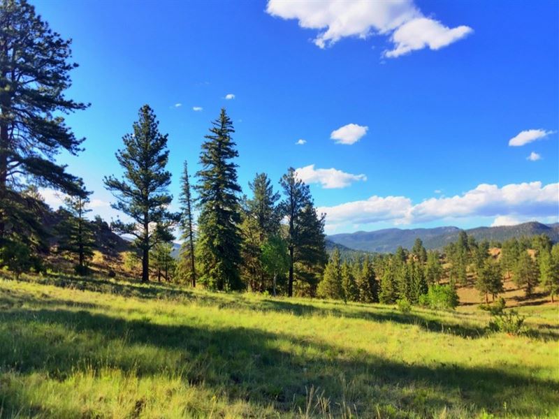 Beaver Mountain with Unsurpassed Vi : South Fork : Rio Grande County : Colorado