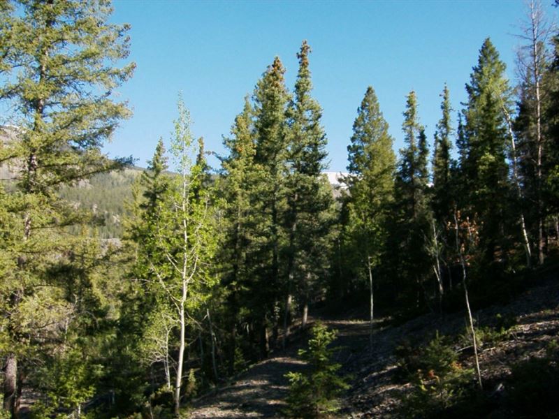 Lakeshore Estates Lot 3 : Lake City : Hinsdale County : Colorado