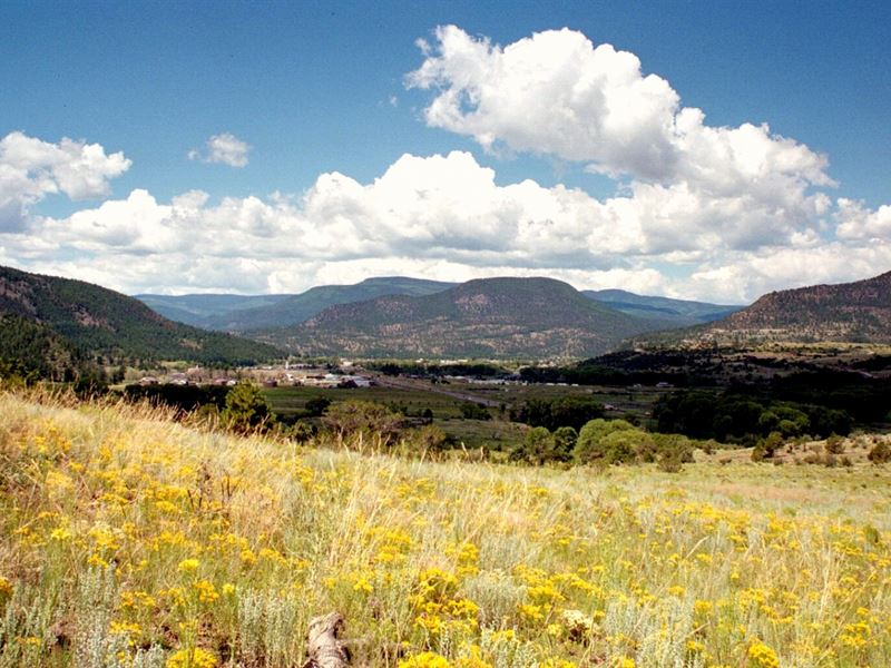 Rio Vista Ridge, Lot 8 : South Fork : Rio Grande County : Colorado