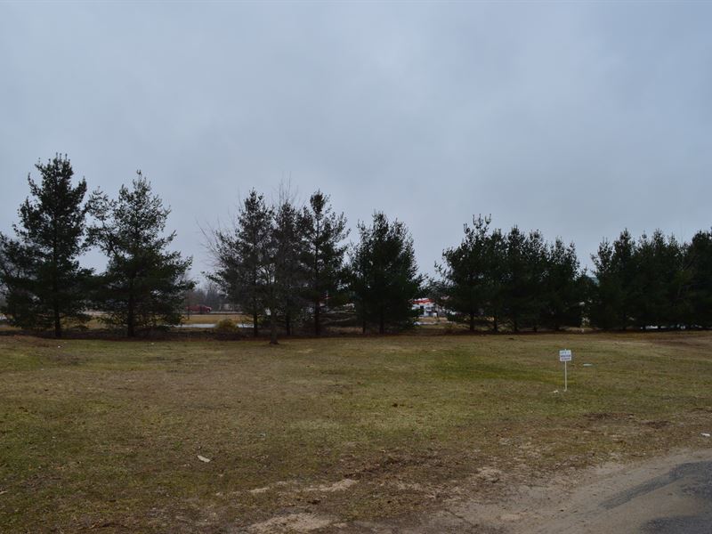 Lot 11 Buildable Rural Country Lot : Oxford : Marquette County : Wisconsin