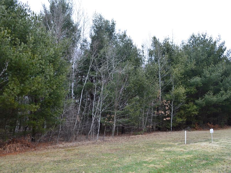 Lot 40 Buildable Rural Country Lot : Oxford : Marquette County : Wisconsin