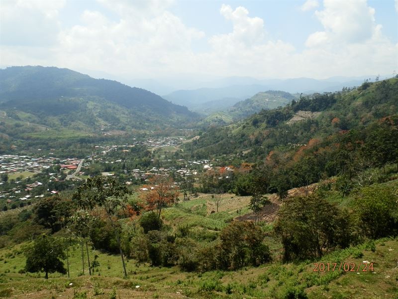 9.88 Ac, Pasture, Views, Build Here : Pejibaye : Costa Rica