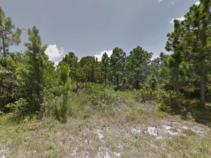 Vacant Land for Sale in Lehigh Acre : Lehigh Acres : Lee County : Florida