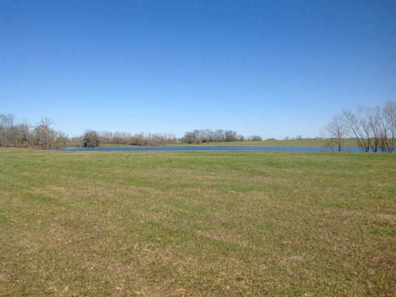 Windhaven Lakes : Hope Hull : Lowndes County : Alabama