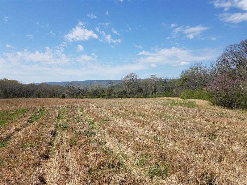 Valley Acres with Pasture and Views : Pikeville : Bledsoe County : Tennessee