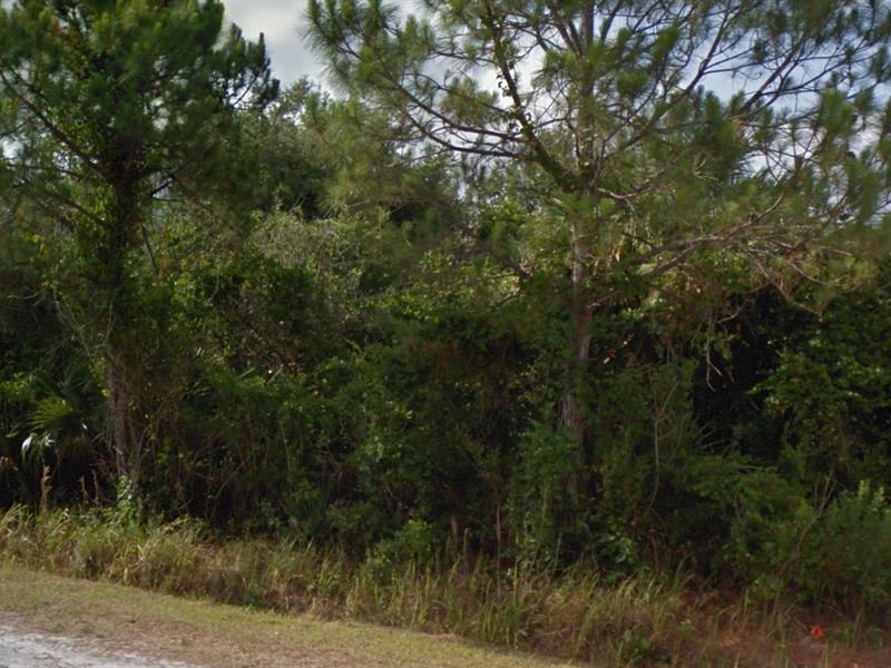 .24 Acres in Palm Bay, FL : Palm Bay : Brevard County : Florida