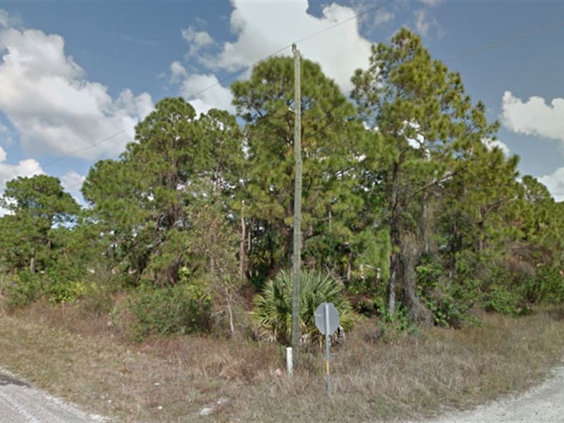 Lee County, Florida $11,000 Neg. : Lehigh Acres : Lee County : Florida