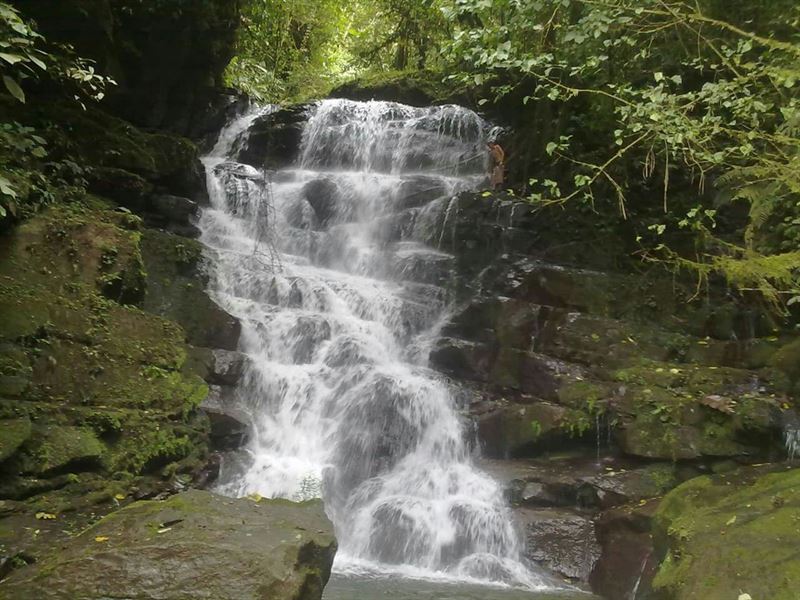Waterfalls, 7 Ac Jungle, Woods : Pejibaye De Turrialba : Costa Rica