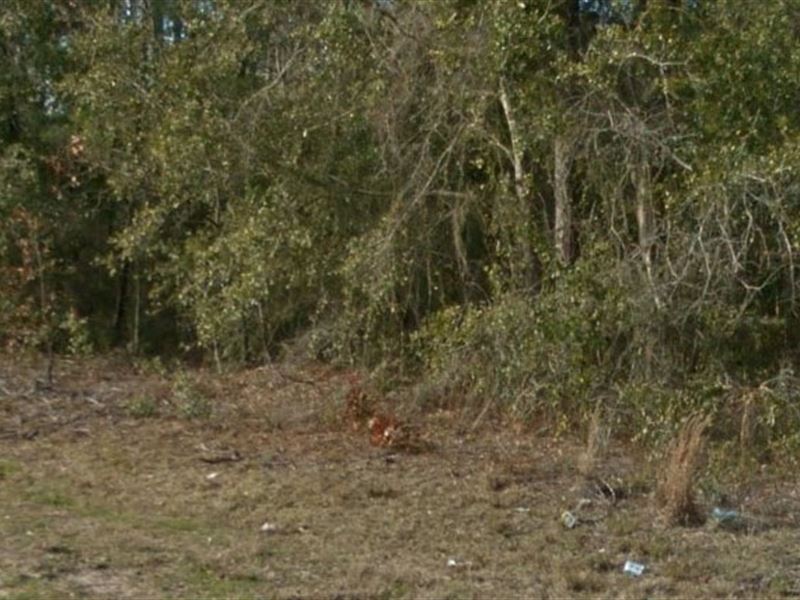 Levy County, Fl $33,000 Neg : Lot for Sale in Bronson, Levy County, Florida : #123367 : LOTFLIP