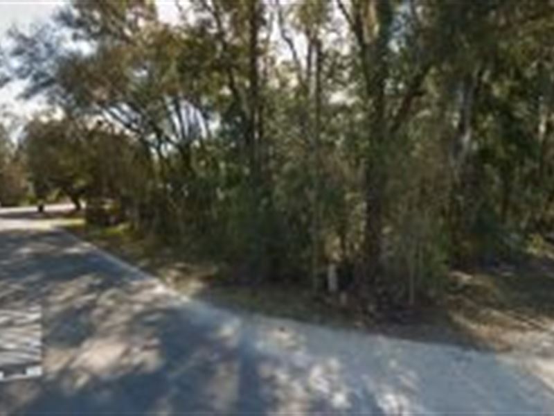 Levy County, Florida $10,000 : Lot for Sale in Bronson, Levy County, Florida : #123488 : LOTFLIP