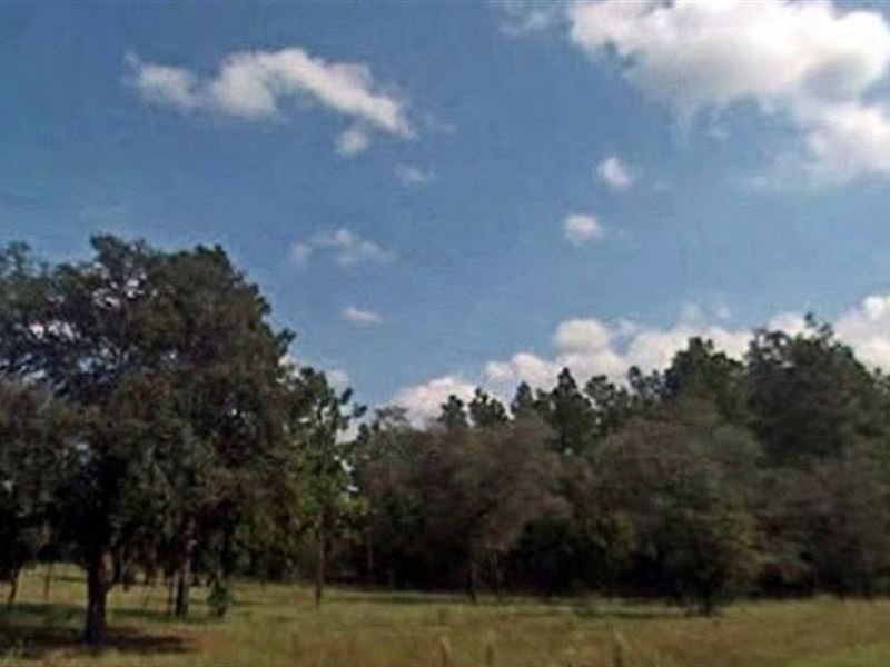 Levy County, Fl $28,000 Neg : Dunnellon : Levy County : Florida
