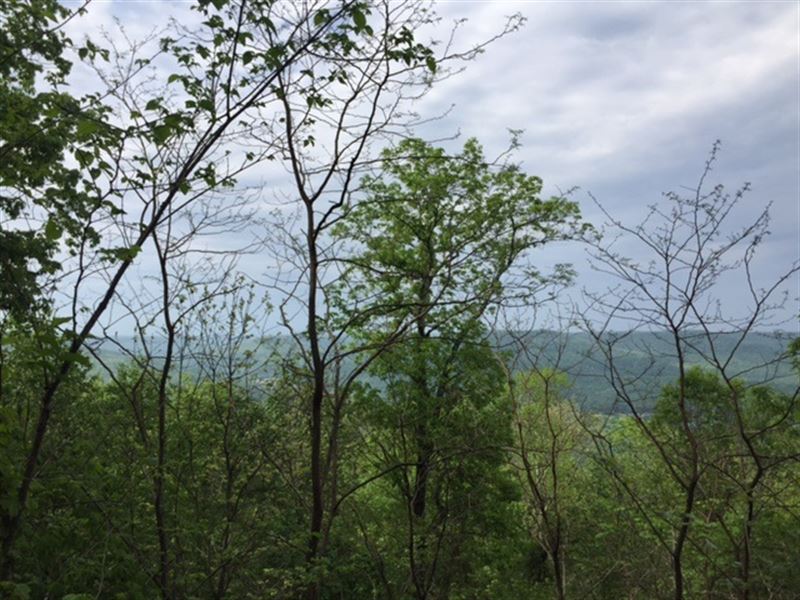 5.24+/-Acre Near Sewanee University : Sewanee : Marion County : Tennessee