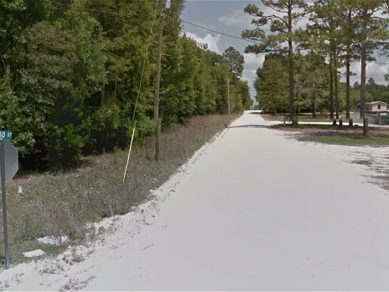 Gilchrist County, Florida 78,000, Lot for Sale in Florida, 124013