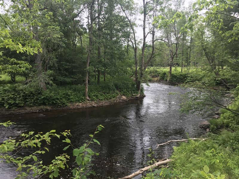 Scenic Adirondack Riverfront, Lot for Sale in New York, 124066 LOTFLIP