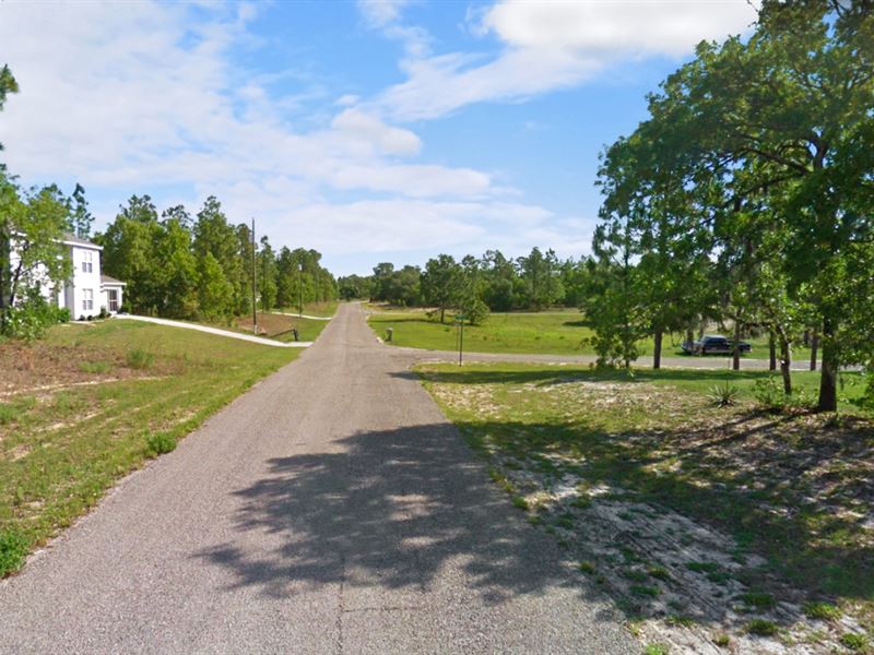 .23 Acres in Citrus Springs, FL : Citrus Springs : Citrus County : Florida