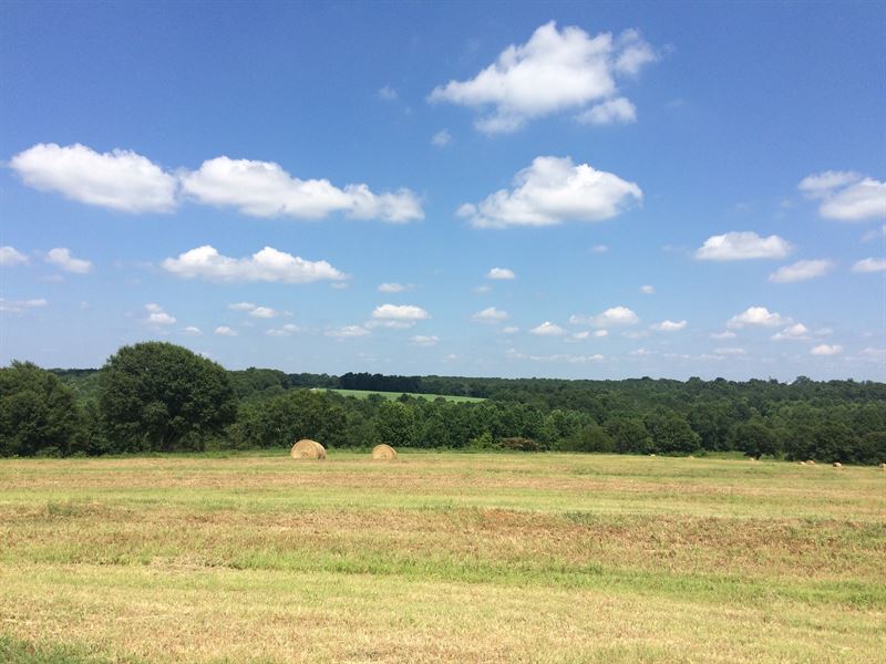10 Acres with Beautiful Views : Troy : Pike County : Alabama