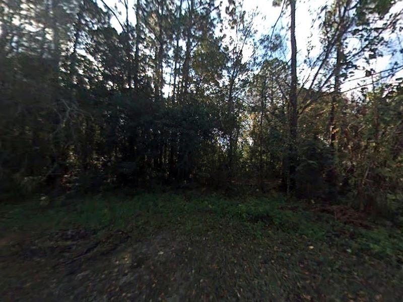3.37 Acres in Saint Augustine, FL : Saint Augustine : Saint Johns County : Florida