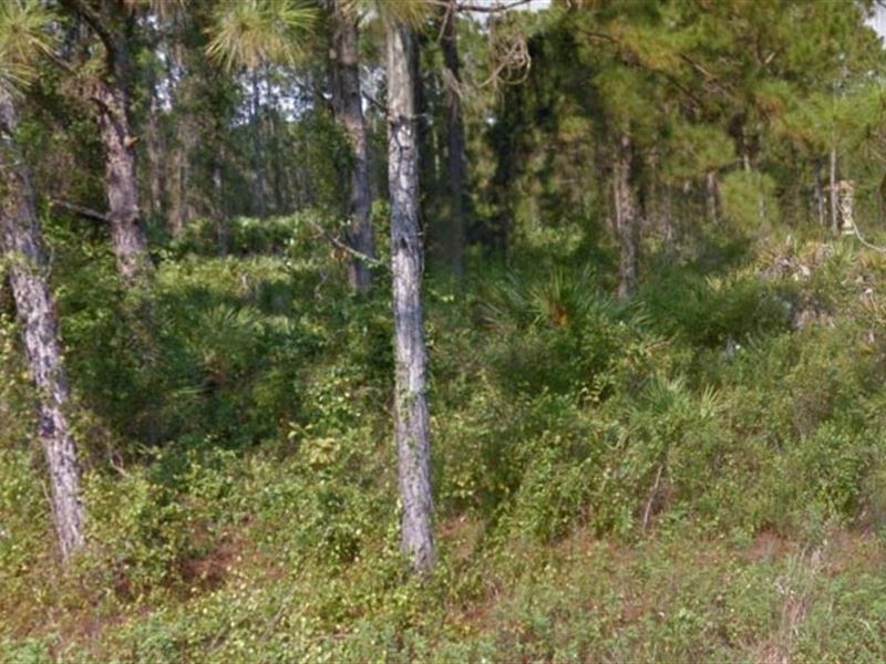 Lee County, Fl $55,900 Neg : Lehigh Acres : Lee County : Florida
