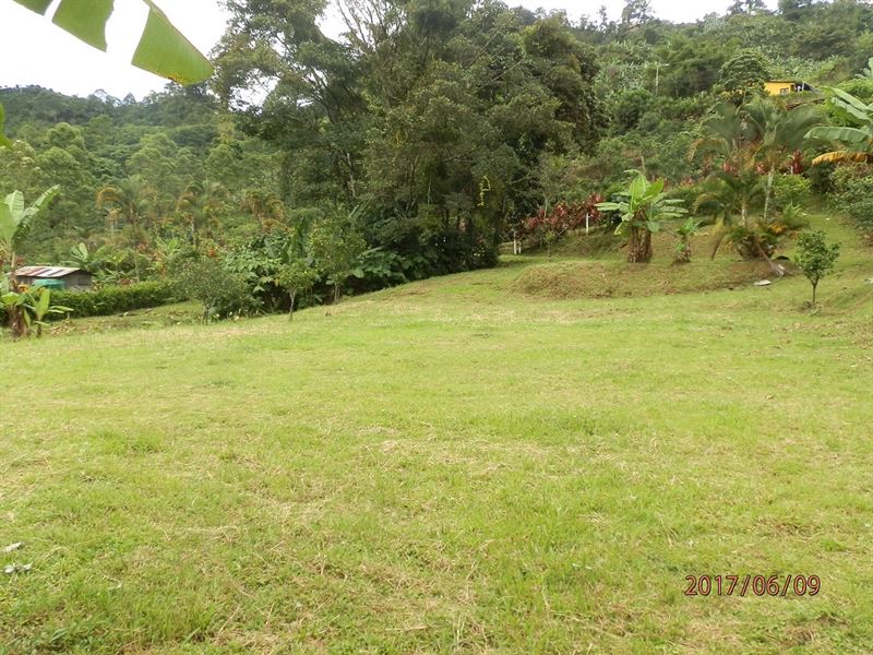 1/2 Acre Lot, Views, Mt Spring Agua : Orosi De Cartago : Costa Rica