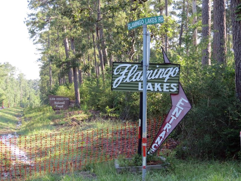 Flamingo Lakes : Montgomery : Montgomery County : Texas