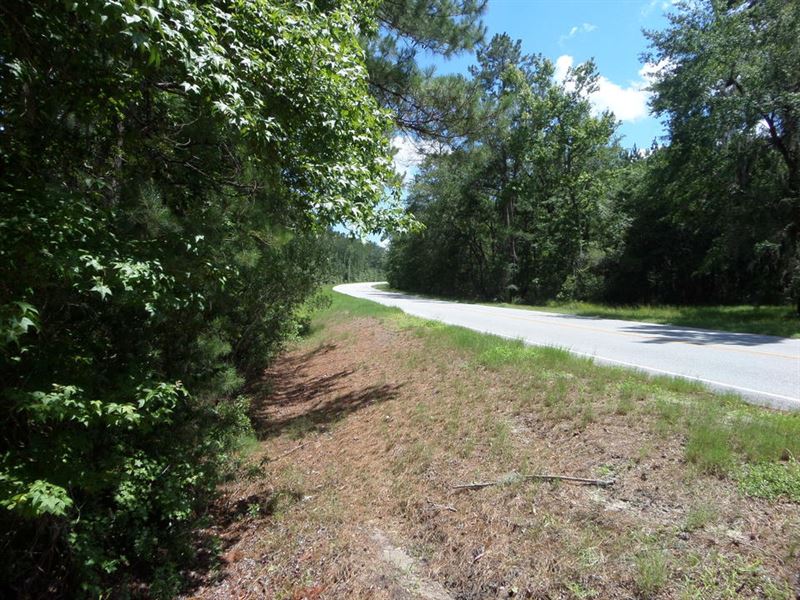 Perfect Getaway in Old Home Place : Darien : McIntosh County : Georgia