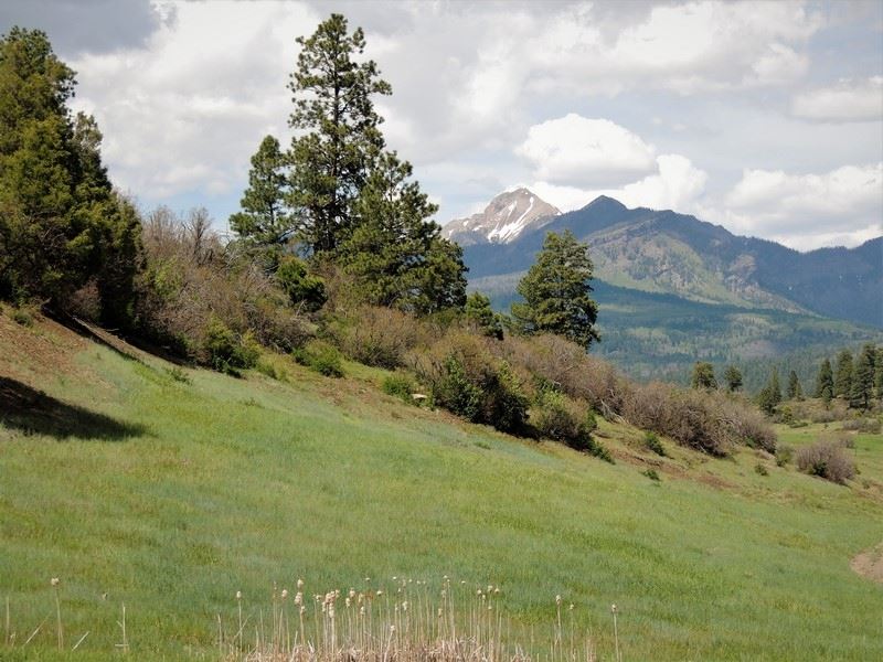 Reserve At Pagosa Peak, Lot 137 : Pagosa Springs : Archuleta County : Colorado
