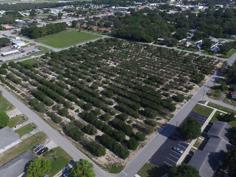 8.39 Acres Of Development Land : Avon Park : Polk County : Florida