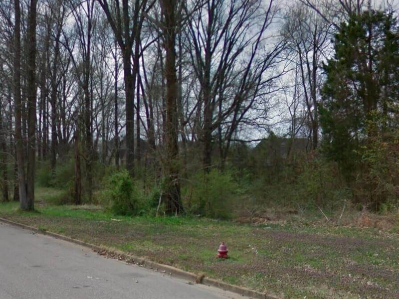 3.08 Acres- Olive Branch, Ms 38654 : Olive Branch : De Soto County : Mississippi