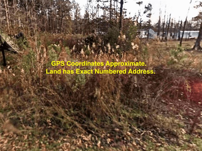 .16 Acres- Carthage, Ar 71725 : Carthage : Dallas County : Arkansas