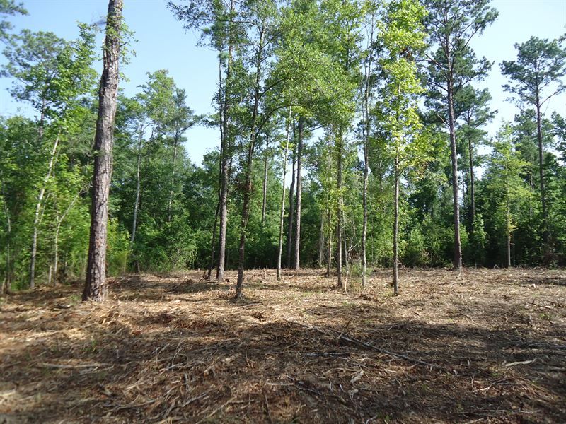 10 Acre Home Site Near Lake : Macon : Bibb County : Georgia