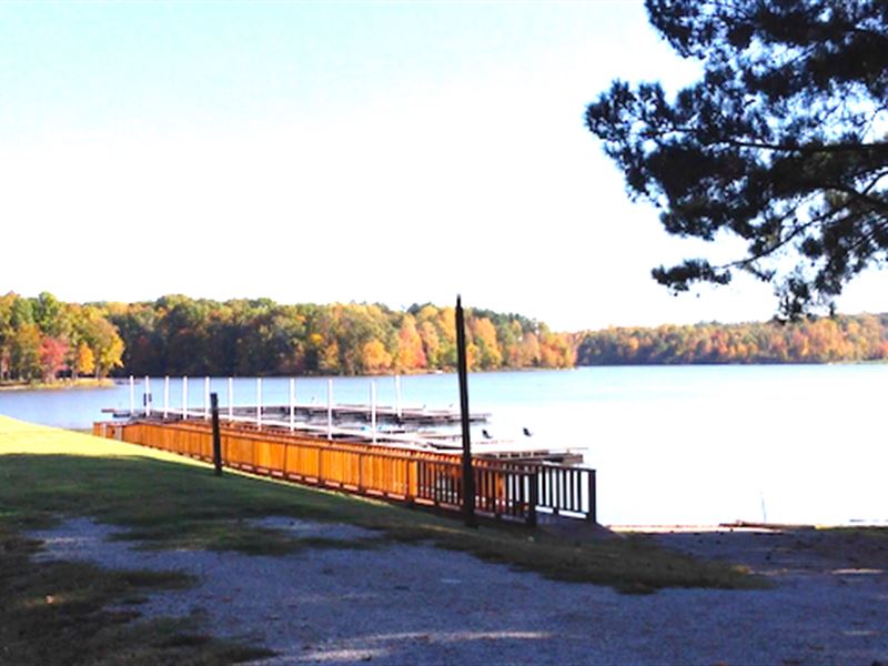 Lot 97 Is A 1.5 Ac Water Front Lot : Cedar Grove : Carroll County : Tennessee