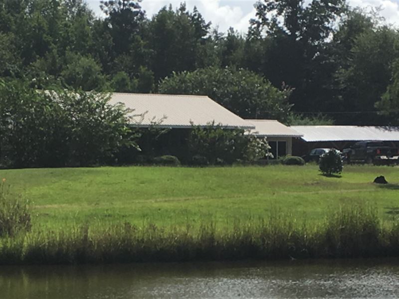 4 Bedroom Home On 7 Acres : Union Springs : Bullock County : Alabama