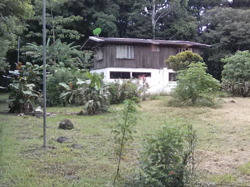 Cabin On The Pejibaye River, 3500M2 : Pejibaye : Costa Rica