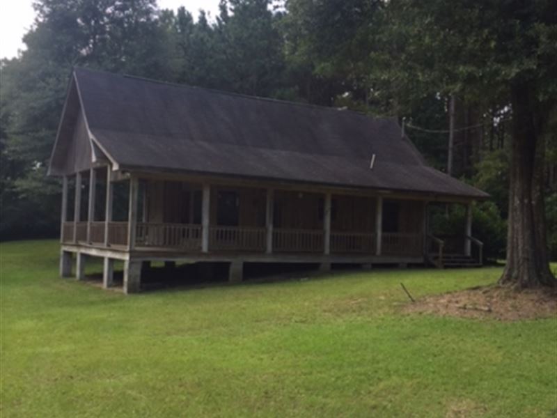 Cabin and 9 Acres On Emerald Lane : Magnolia : Pike County : Mississippi