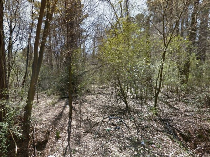 1.10 Acres- Pine Bluff, Ar 71602 : Pine Bluff : Jefferson County : Arkansas