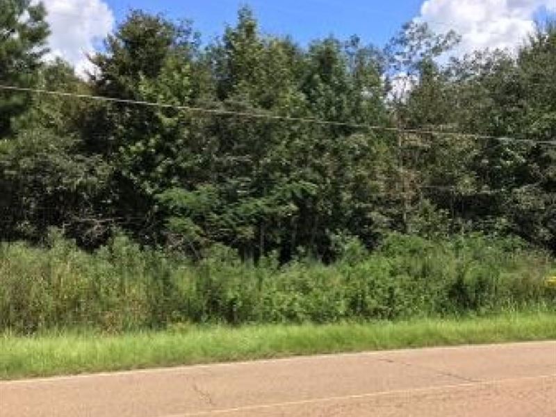 9.5 Acres in Hinds County : Jackson : Hinds County : Mississippi