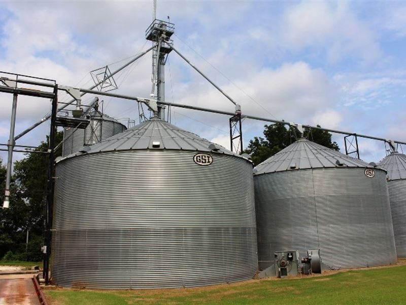 Grain Prcss/Drying/Storage Facility : Ripley : Lauderdale County : Tennessee