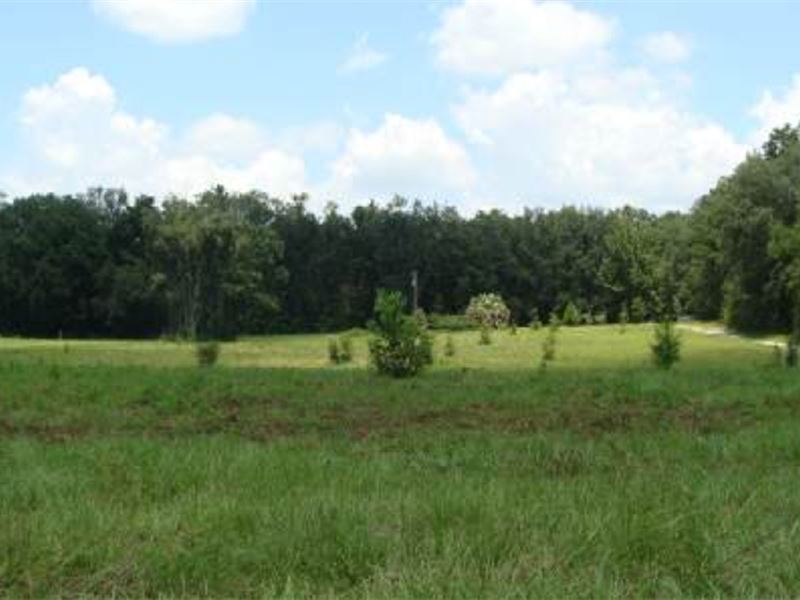 N Fl Residential Home Site for Sale : Lake City : Columbia County : Florida