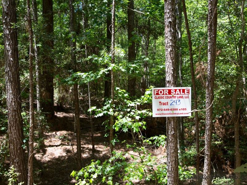 Rayburn Country Tract 243 : Browndell : Jasper County : Texas