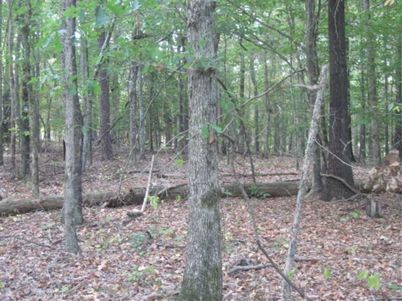 Land 11 Acres for Sale in Carroll : Carrollton : Carroll County : Mississippi