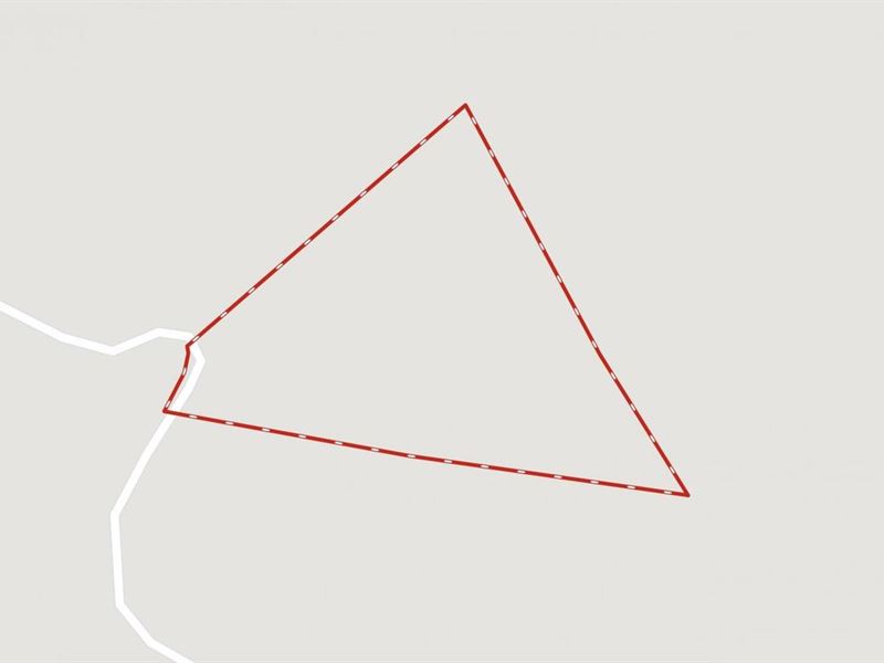 10.63 Acres Off Sutter's Ridge : McGrady : Wilkes County : North Carolina