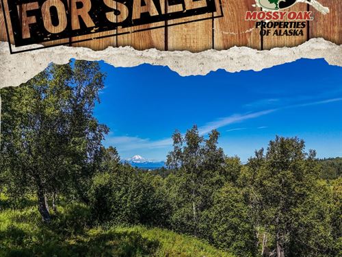 15522 Tovarish St, Ninilchik : Ninilchik : Kenai Peninsula Borough : Alaska