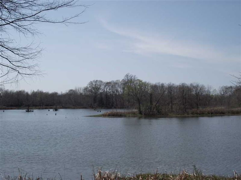 Waterfront Lot, 1+ Acre, in Hale : Akron : Hale County : Alabama