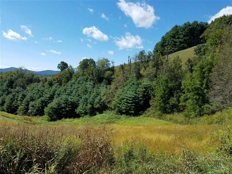11+ Acre Estate Lot with Long Rang : Grassy Creek : Ashe County : North Carolina
