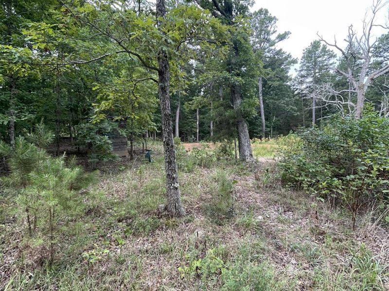 5 Acres with Pond, Oxford, AR : Oxford : Izard County : Arkansas