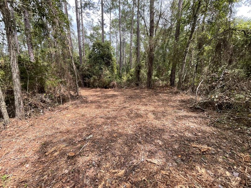 Camping Lot Near The Withlacoochee : Jasper : Hamilton County : Florida