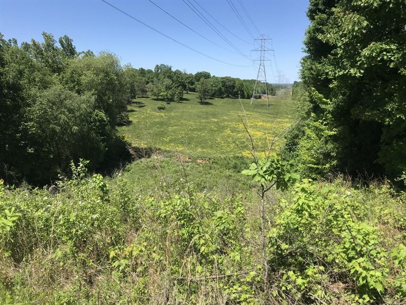 9.7 Acres Off Evans Road, Jonesv : Jonesville : Yadkin County : North Carolina