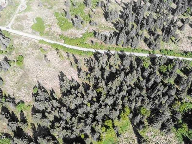 Mountain View Lot in Ninilchik : Ninilchik : Kenai Peninsula Borough : Alaska