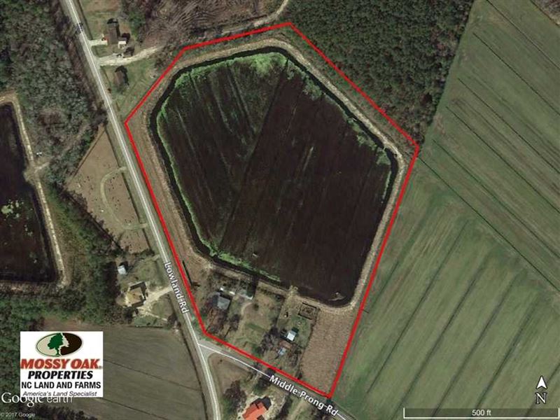 Reduced, 16 Acre Duck Impoundment : Lowland : Pamlico County : North Carolina