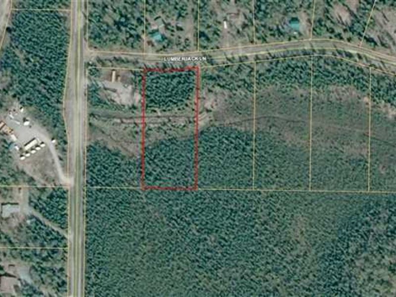 Large Parcel Near Sport Lake in So : Soldotna : Kenai Peninsula Borough : Alaska
